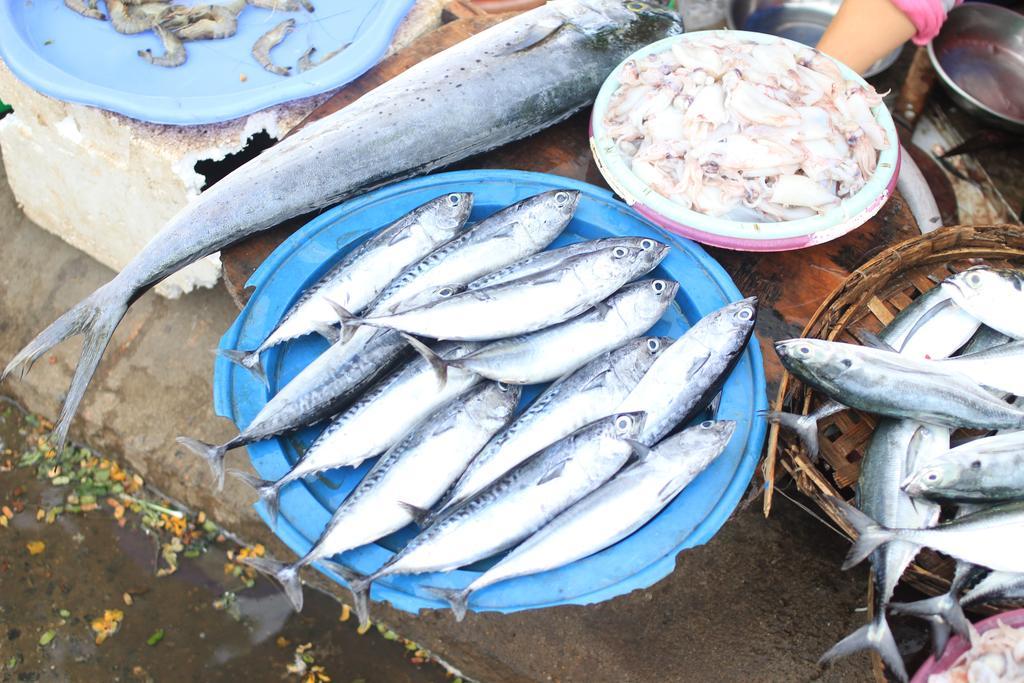 Lang Dong An Bang Panzió Hội An Kültér fotó